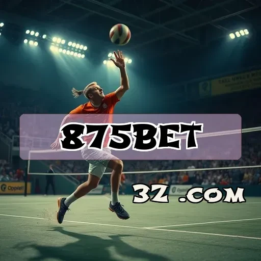 A Importância do Suporte na 875BET para Jogadores